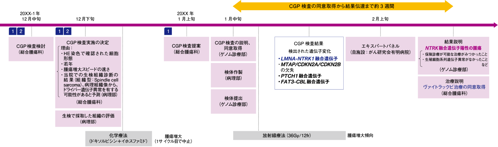 CGP検査検討～ヴァイトラックビ治療開始まで